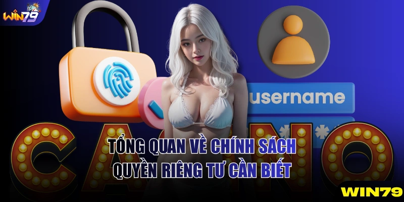 Tổng quan về chính sách quyền riêng tư cần biết